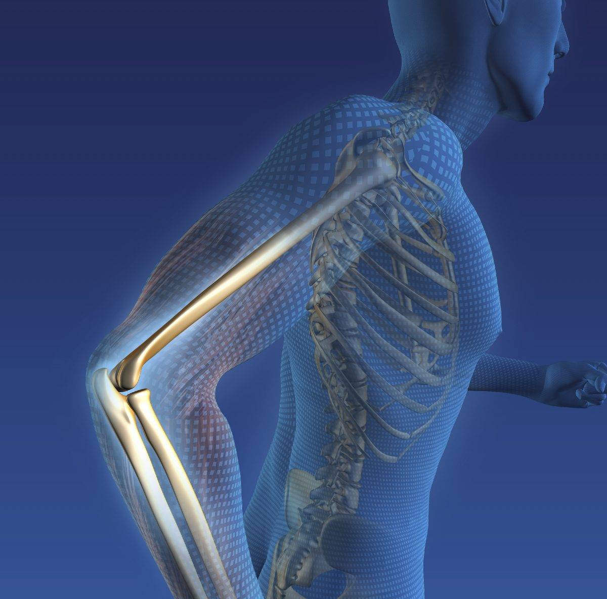 Orlando Orthopaedic Center Elbow Specialists Running man