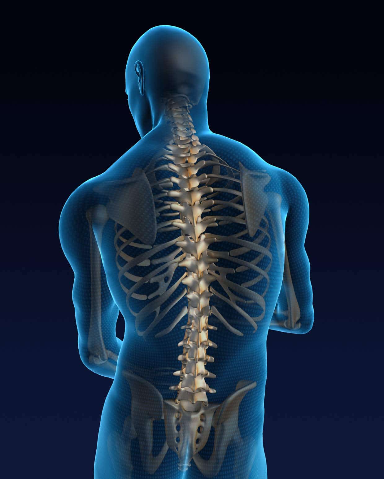 Orthopaedic Spine Surgeon
