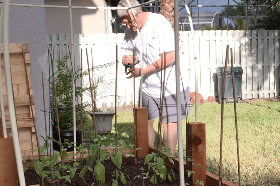 Patient enjoys gardening again with no pain after his Laminectomy